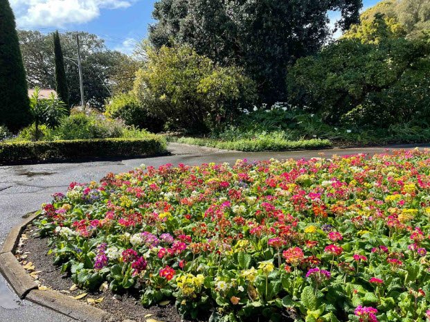 Portland Botanic Gardens, Australia